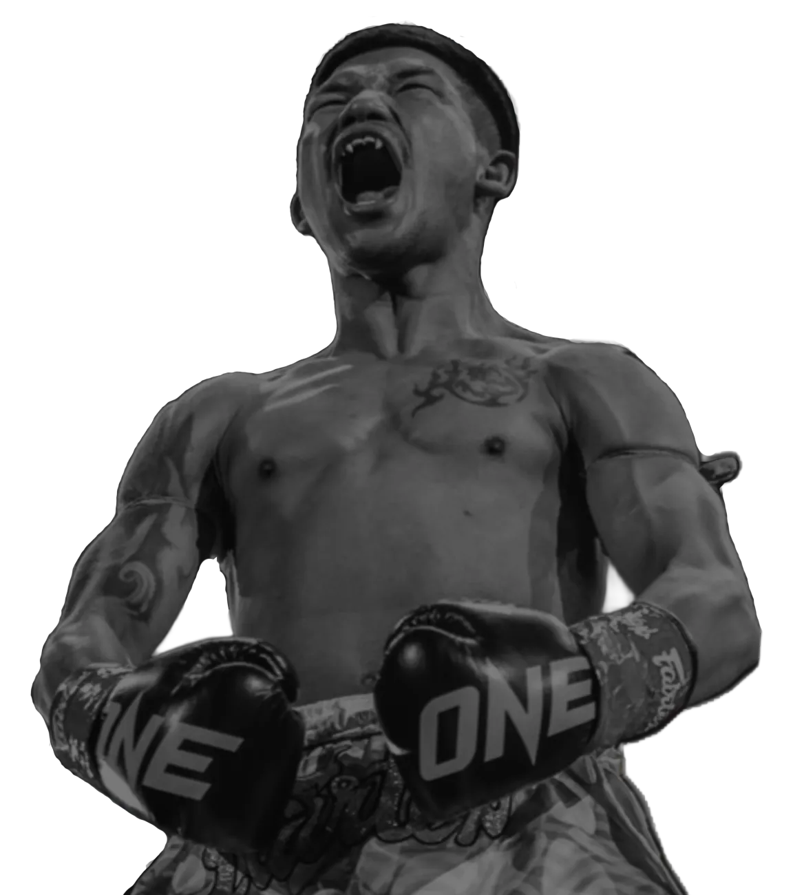 Rodtang Lutador Tailandês